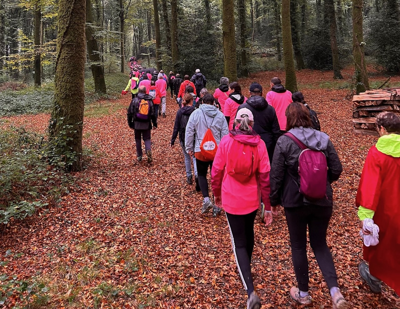 WhatsApp Image 2025-10-21 at 12.02.34